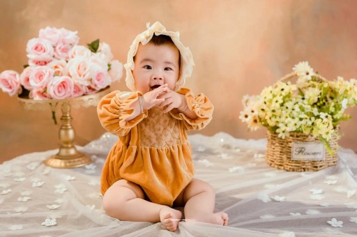 代孕代生服务《马来西亚助孕机构年度TOP10，揭秘防骗攻略》